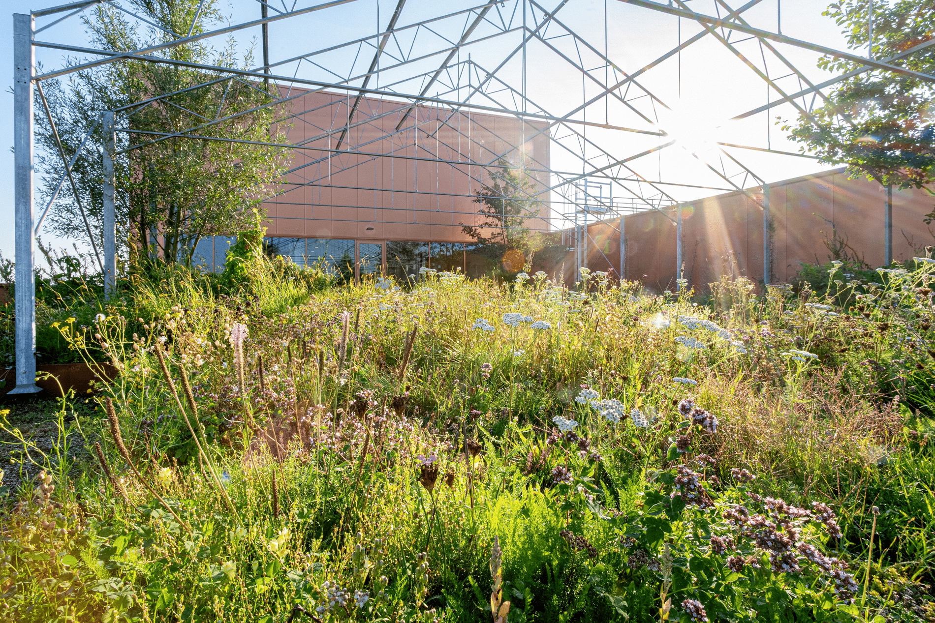 Natuurinclusief bouwen als versneller 2