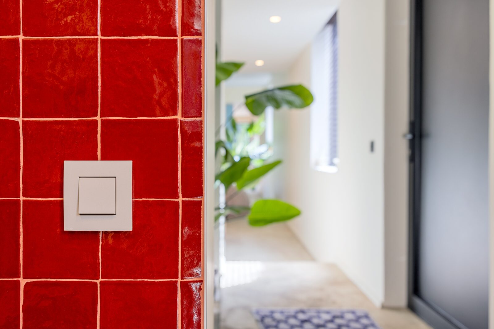 Nieuwe Niko Intense-afwerkingen brengen warmte en karakter in het interieur 1