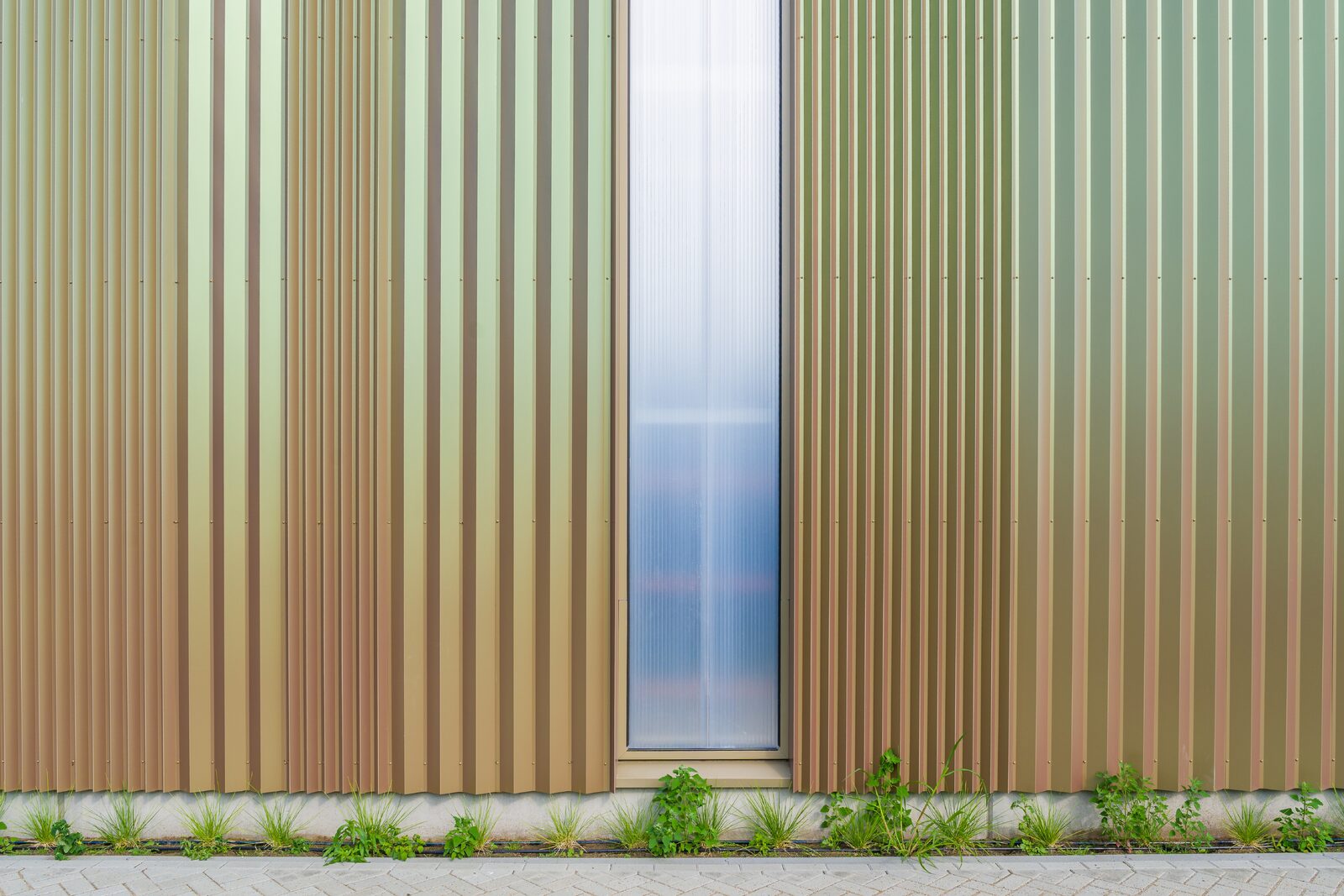 Steel, Wood, and Light in a Single Striking Facade 3